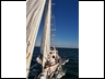 Arabella from the bowsprit