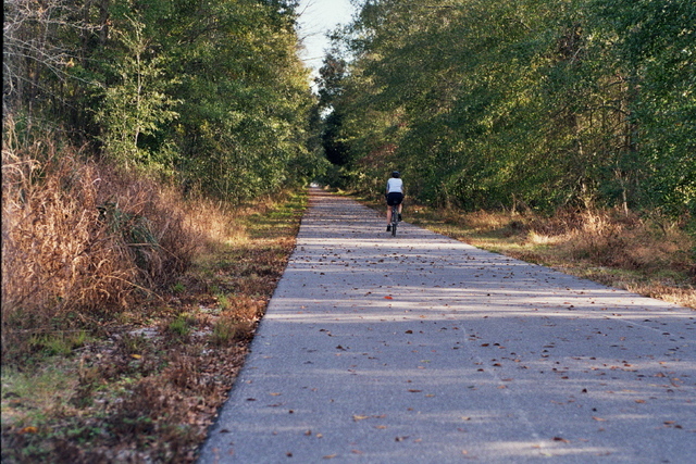 biking away in Florida, on the Nature Coast Greenway Trail