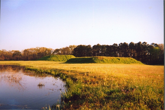 mounds in Moundville, Alabama