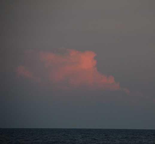 #21 pink cloud