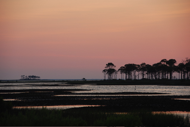 #15 East Slough at sunset