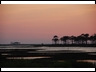 #15 East Slough at sunset