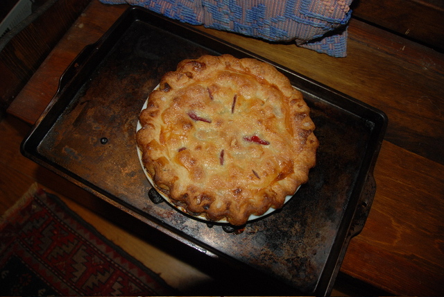 drool-icious pie