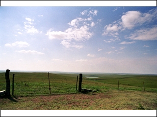 #2: Ranch gate